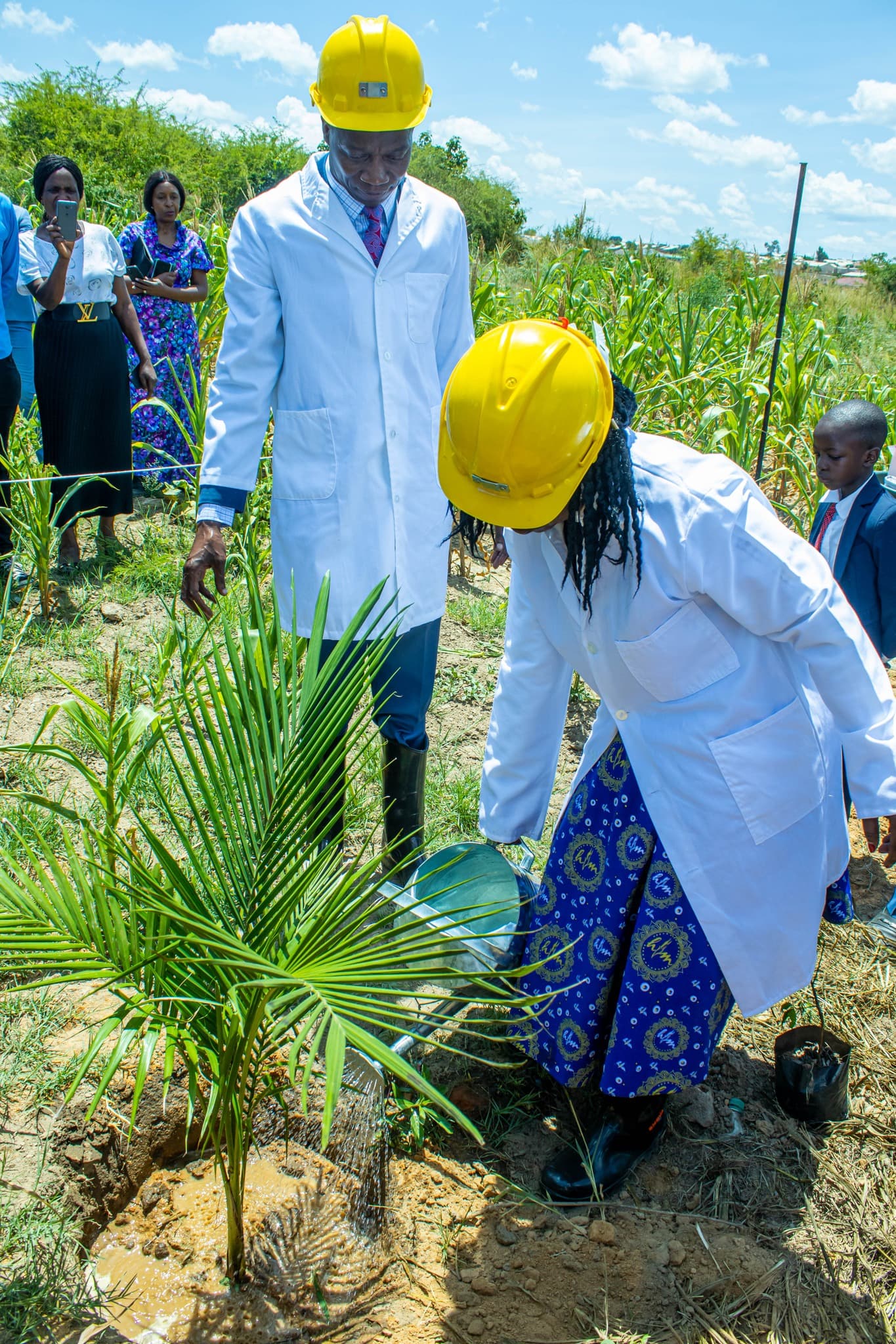 TREE PLANTING DAY